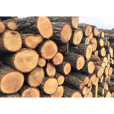 Дрова дуб продам Чабани