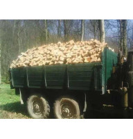 Дрова твердих порід дерева (дуб, бук, граб) Круглик