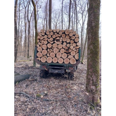 Продам Дрова твердих порід Макарів