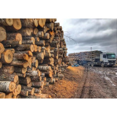 Дубові дрова опт та роздріб, усе по чесному Плесецьке