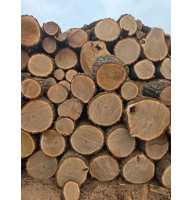 Продам дрова Сосна, Дуб, Береза Гвоздів