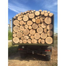 Дрова дуб, сосна, розница, опт, безнал Гнідин