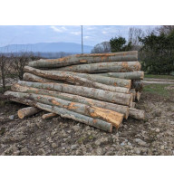Дрова бук граб метрові гуртом Дрова мякої породи Дрова колоті Біла Церква