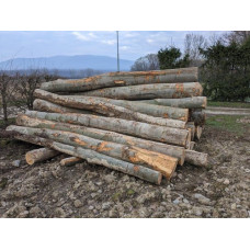 Дрова бук граб метрові гуртом Дрова мякої породи Дрова колоті Біла Церква