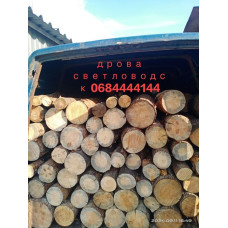 Дрова сосна и тведои породы Іванковичі