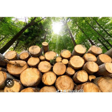 Дрова клен акція Козин