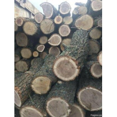 Продам дрова дубовые Глеваха