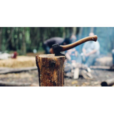 Продам дрова дубовые Сквира