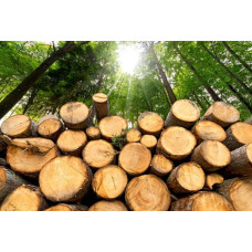 Продаж дров твердих порід Забір'я