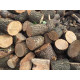 Дрова в ящиках твердих порід та сосна колоті, кругляк Гнідин