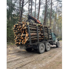 Дрова ОПТОМ та в роздріб. Тверді породи Плесецьке