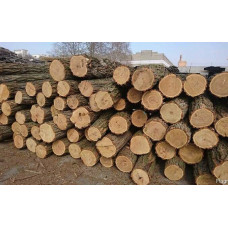 Дрова, акация, дуб, ясень, сосна Бориспіль