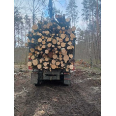 Дрова сосна, береза, вільха з доставкою Ходосівка