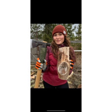 Дрова з перших рук Дуб, дрова сосна, дрова осика Доставка додому Петропавлівська Борщагівка