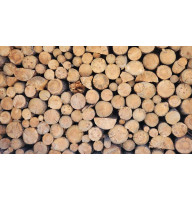 Продам дрова Сосна Береза Дуб Вільха, Ясен Володарка