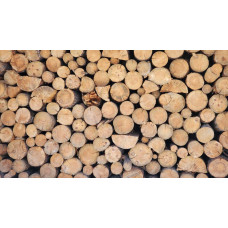 Продам дрова Сосна Береза Дуб Вільха, Ясен Володарка