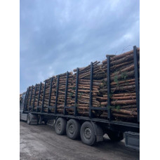 Продам дрова з доставкою! Бобриця