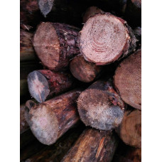 Продам соснові дрова Димер