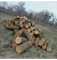 Дрова Дубовые сухие Погреби