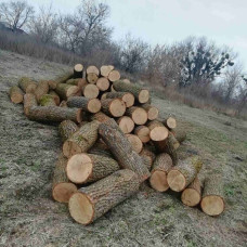 Дрова Дубовые сухие Погреби
