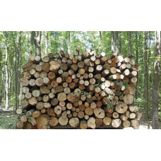 Дрова, доставка до дому Щасливе