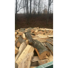 ДРОВА твердих порід — БУК Боярка