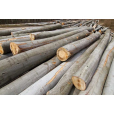 Дрова метровки бук граб береза є осика тополля Богуслав