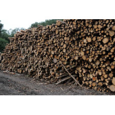 Дрова метрові мяких і твердих порід гурт Дрова граб дрова оскика Нове