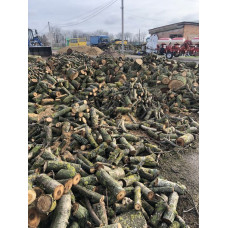 Продаю дрова пиляні Броварський район