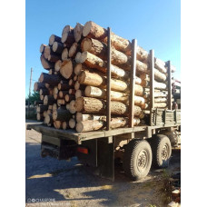 Дрова сосна береза Петропавлівська Борщагівка