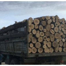 Продам дрова (дуб, граб, береза) доставка Вишгород