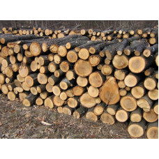 Продам дрова дуб, кльон. Княжичі