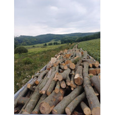Дрова оптом порода бук, граб. Стоянка