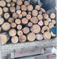 Продаємо ДРОВА гуртом та роздріб. Бобриця