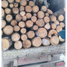 Продаємо ДРОВА гуртом та роздріб. Бобриця