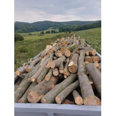 Дрова оптом бук Мощун