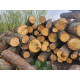 Продам дрова Сосна, Дуб Великі Дмитрович