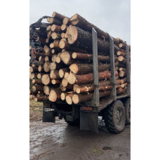 Сосна кругляк оптом якість, документи, навантаження Горенка