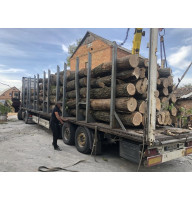 Продам дрова паливні (опт) Ходосівка