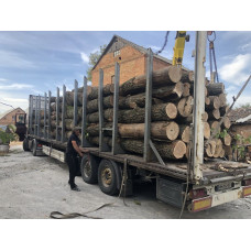 Продам дрова паливні (опт) Ходосівка