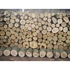 Дрова твёрдых пород Акация Шевченкове