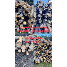 Дрова різних порід, рубані і не рубані Пухівка