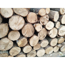 Дрова (сосна, дуб, ясен, береза) Требухів