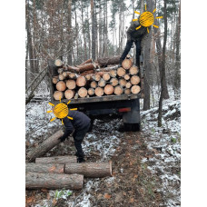 Продам дрова твердих порід та соснові Григорівка