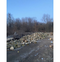 Продам дрова метровка Лютіж