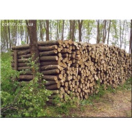 Дрова метрові та рубані Гнідин