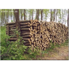 Дрова метрові та рубані Гнідин