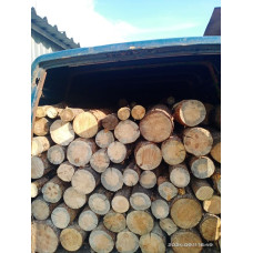 Дрова сосна дрова твердої породи Погреби