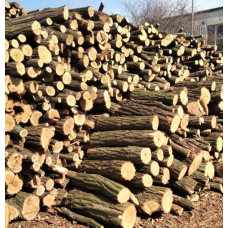 Продам дрова акація ясин дуб Ржищів
