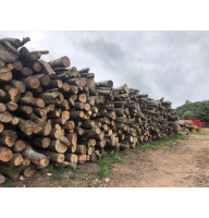 Дрова гуртом береза осика тополя метрові дрова гуртом метрові Святопетрівське